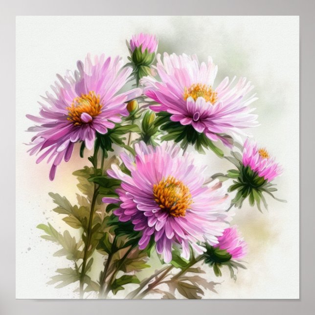 Poster rosa Aster Flower Art-utskrift (Framsidan)