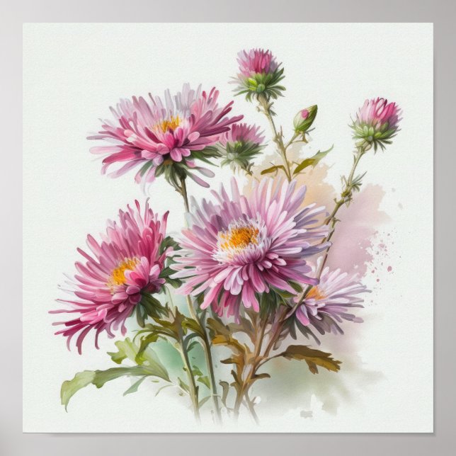 Poster rosa Aster Flower Art-utskrift (Framsidan)