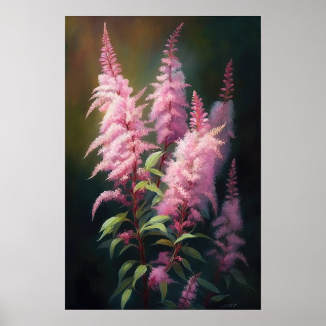 Poster rosa Astilbe Flower Art-utskrift (Framsidan)