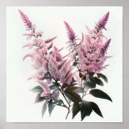 Poster rosa Astilbe Flower Art-utskrift