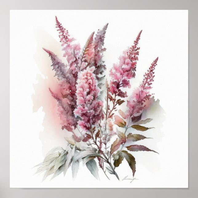 Poster rosa Astilbe Flower Art-utskrift (Framsidan)