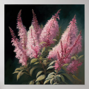 Poster rosa Astilbe Flower Art-utskrift