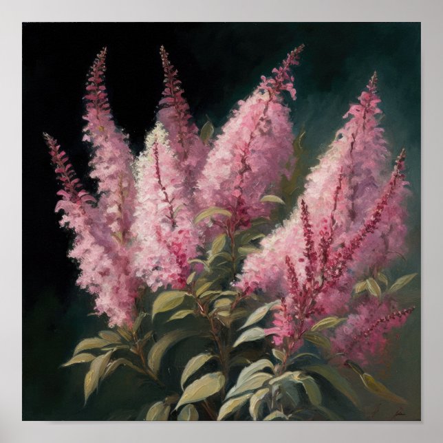 Poster rosa Astilbe Flower Art-utskrift (Framsidan)