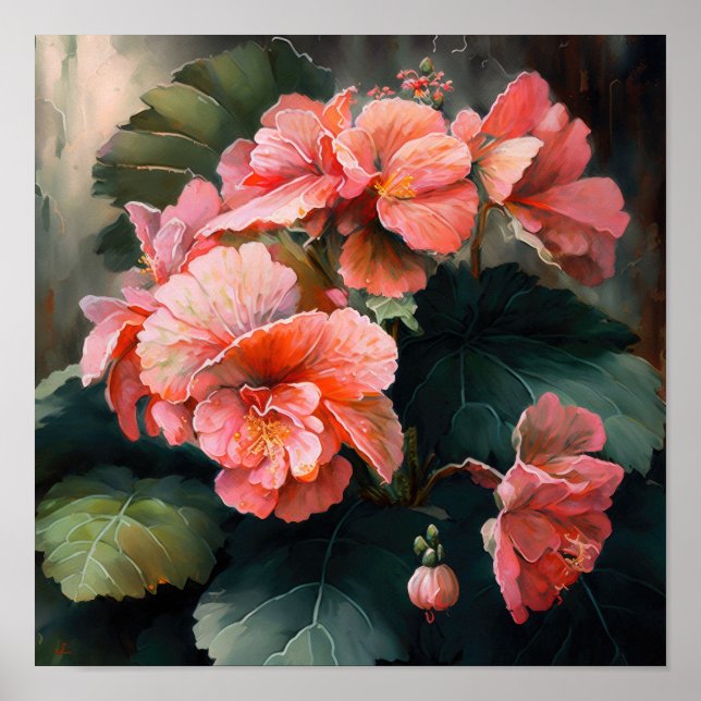 Poster rosa Begonias Flower Art-utskrift (Framsidan)