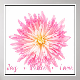 Poster Rosa Dahlia