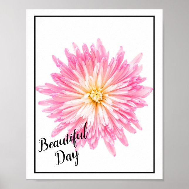 Poster Rosa Dahlia (Framsidan)