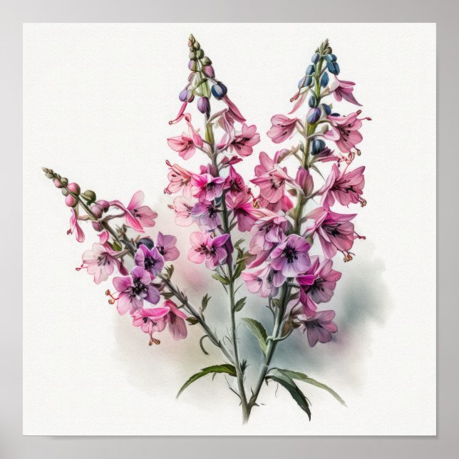 Poster rosa Larkspur Flower Art Print (Framsidan)