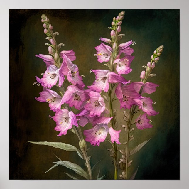 Poster rosa Larkspur Flower Art Print (Framsidan)