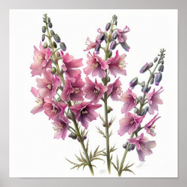 Poster rosa Larkspur Flower Art Print (Framsidan)