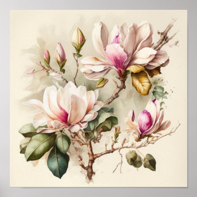 Poster rosa Magnolias Flower Art Print (Framsidan)