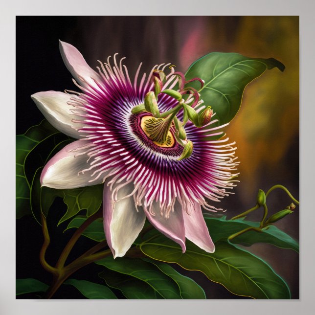 Poster rosa Passion Flower Art-utskrift (Framsidan)