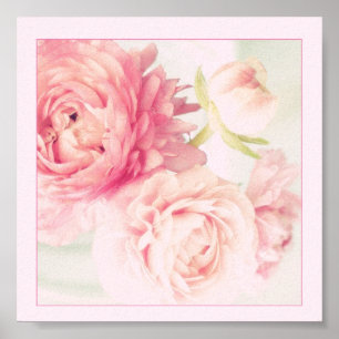 Poster Rosa Peonies