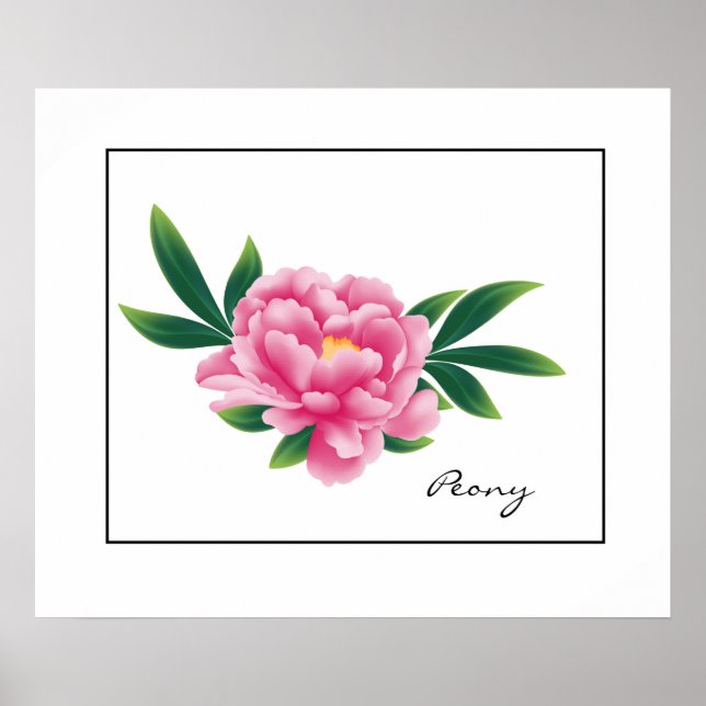Poster Rosa Peony (Framsidan)