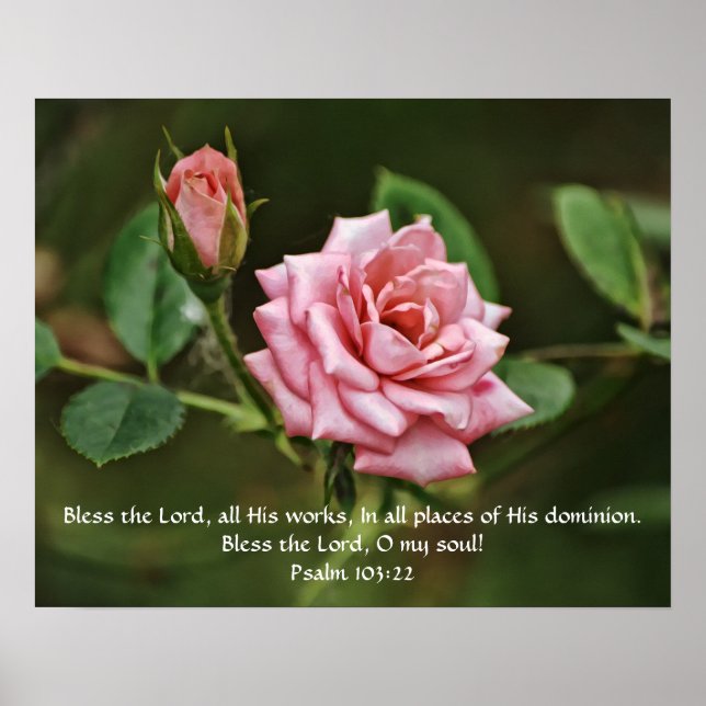 Poster Rosa ros Blating Bible Scripture  (Framsidan)