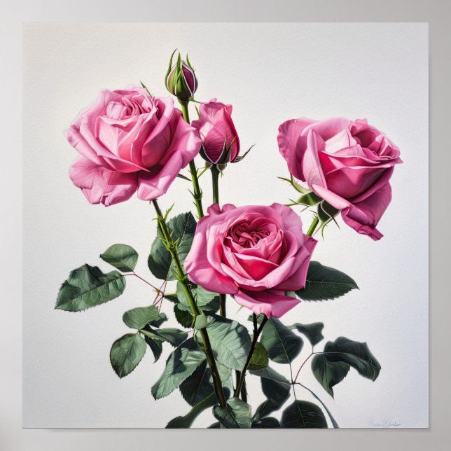 Poster rosa ros-färgremsutskrift (Framsidan)