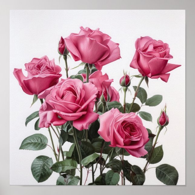 Poster rosa ros-färgremsutskrift (Framsidan)