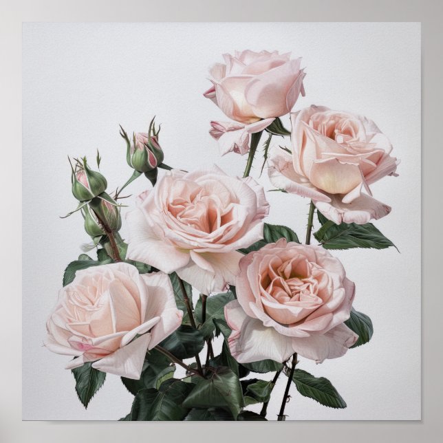 Poster rosa ros-färgremsutskrift (Framsidan)