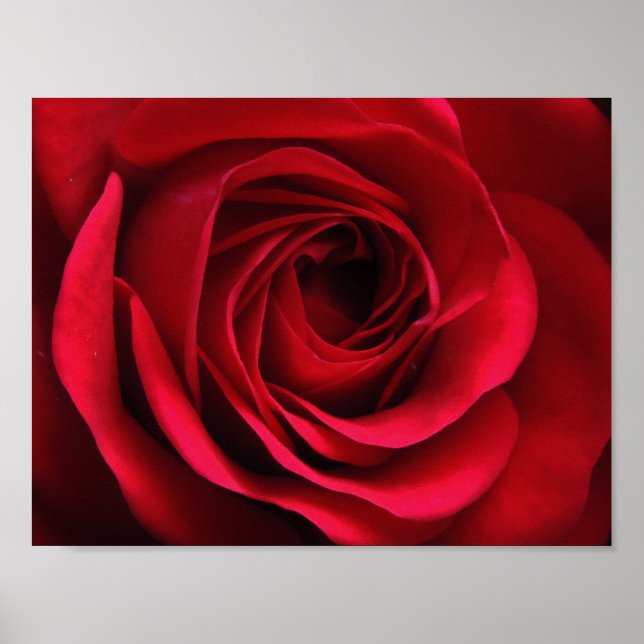 Poster scarlets projektionsyta (Framsidan)