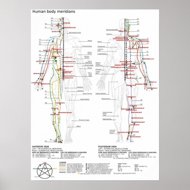 Poster Schematiska kinesiska mänskliga kroppsmatri (Framsidan)