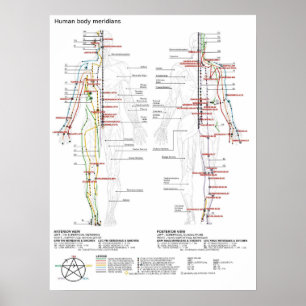 Poster Schematiskt kinesiskt meridians-musculature