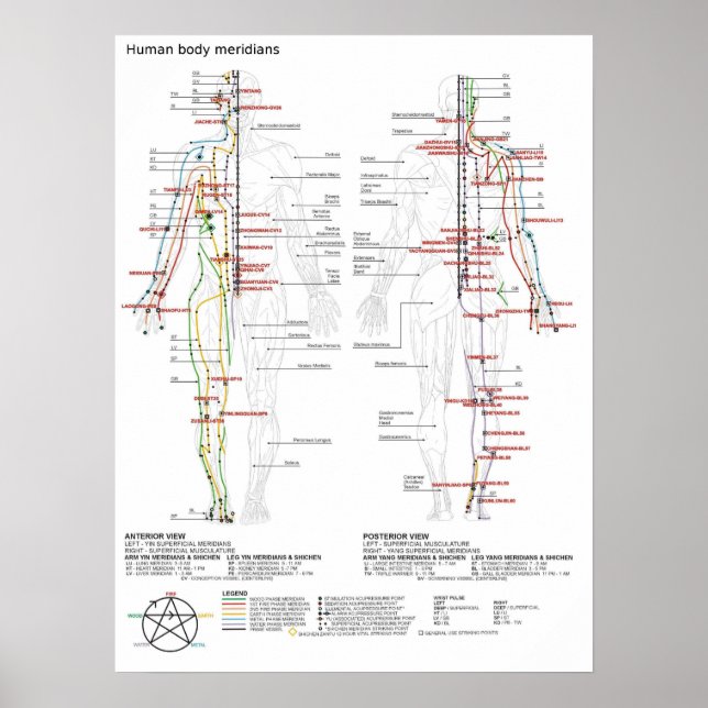 Poster Schematiskt kinesiskt meridians-musculature (Framsidan)