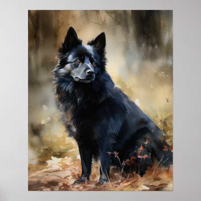 Poster Schipperke Hund Art-utskrift (Framsidan)