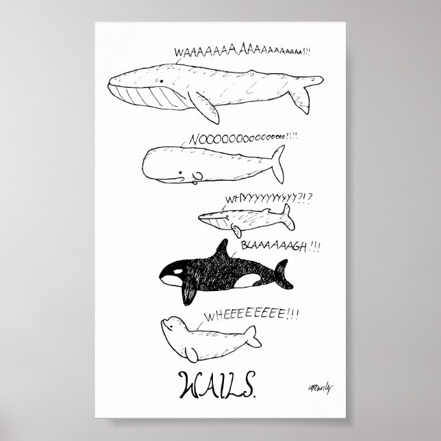 Poster - segel (Framsidan)