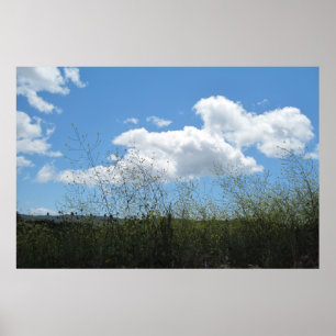 Poster: Senap i molnen Poster