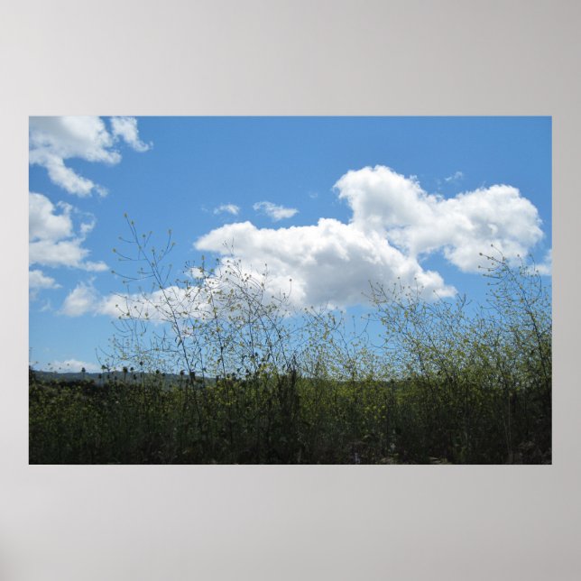 Poster: Senap i molnen Poster (Framsidan)