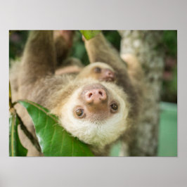 Poster sent
