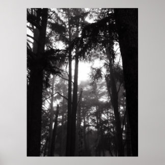 Poster - Silver-tystnad