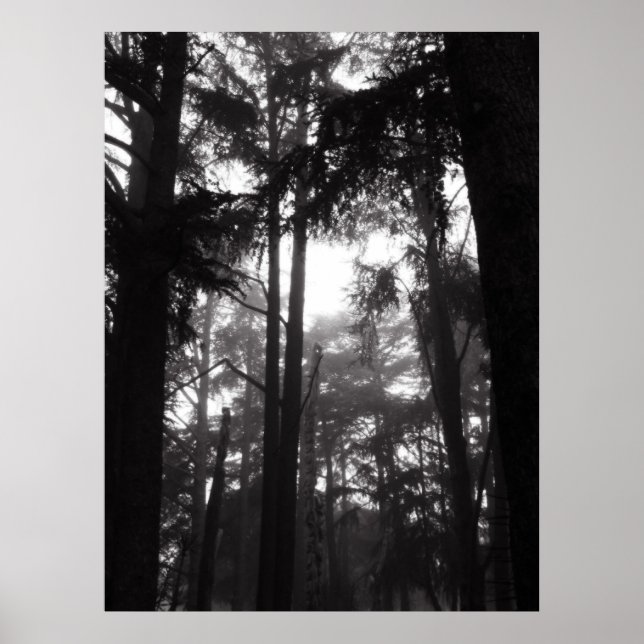 Poster - Silver-tystnad (Framsidan)