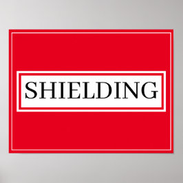 POSTER - SKALNING