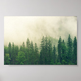 poster skog, stor skog