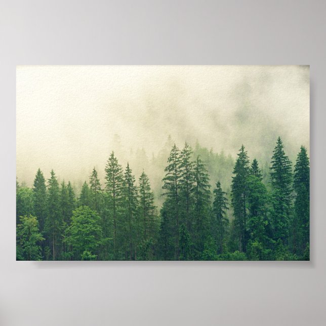 poster skog, stor skog (Framsidan)