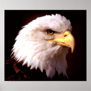 Poster Skriv ut amerikanska Eagle Örn