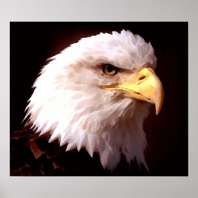 Poster Skriv ut amerikanska Eagle Örn (Framsidan)
