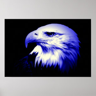 Poster Skriv ut amerikanska Eagle Örn