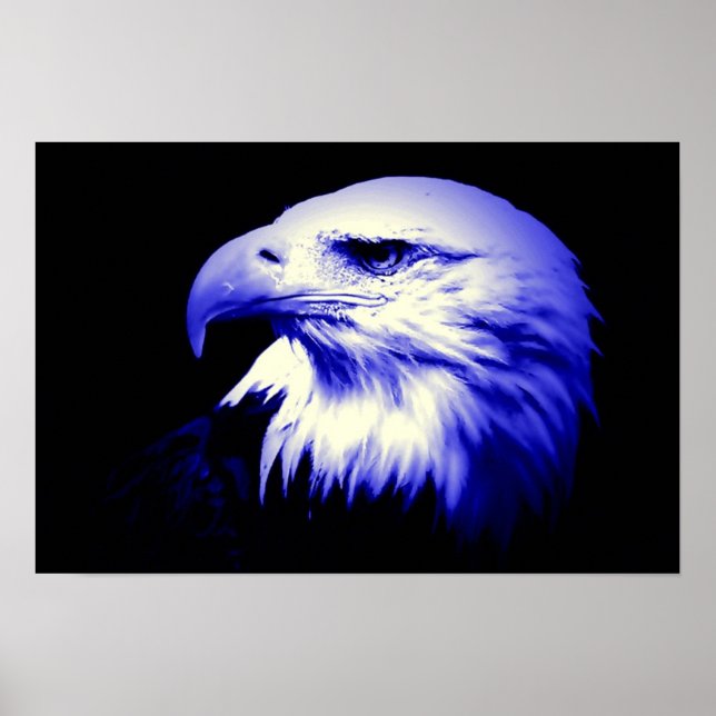 Poster Skriv ut amerikanska Eagle Örn (Framsidan)