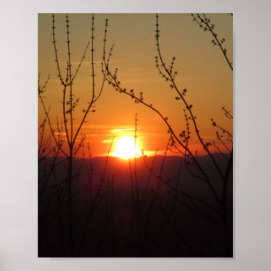 Poster Skriv ut Bild