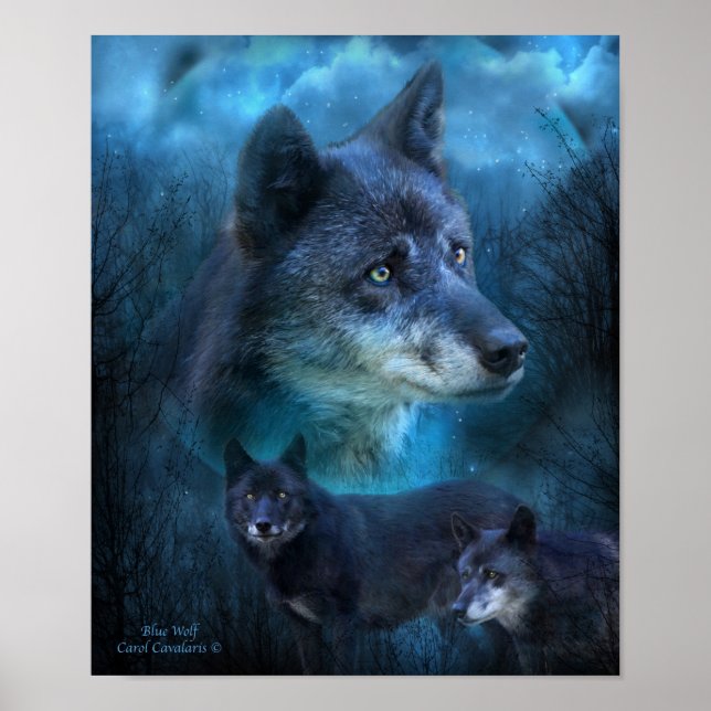 Poster/skriv ut blå Varg Poster (Framsidan)