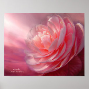 Poster/skriv ut Camellia Art Poster