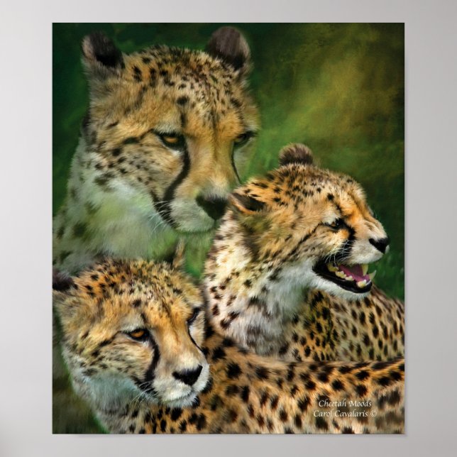 Poster/skriv ut Cheetah Moods Art Poster (Framsidan)