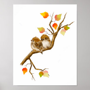 Poster Skriv ut delar av Sparrow Birds
