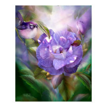 Poster/skriv ut Lavender Ro Fine Art