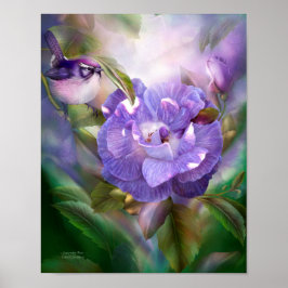 Poster/skriv ut Lavender Ro Fine Art Poster