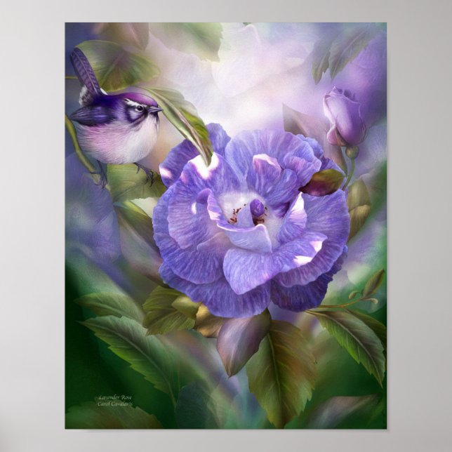 Poster/skriv ut Lavender Ro Fine Art Poster (Framsidan)
