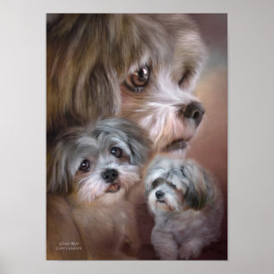 Poster/skriv ut Lhasa Apso Art Poster
