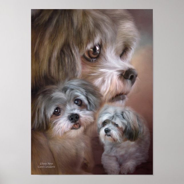 Poster/skriv ut Lhasa Apso Art Poster (Framsidan)