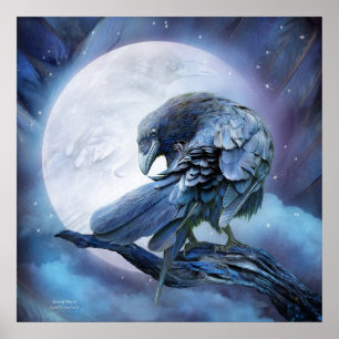 Poster/skriv ut Raven Måne Art Poster